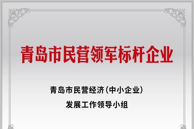 青島市民營(yíng)領(lǐng)軍標(biāo)桿企業(yè)